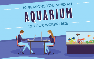 [Infographic] Should You Have an Aquarium in Your Office